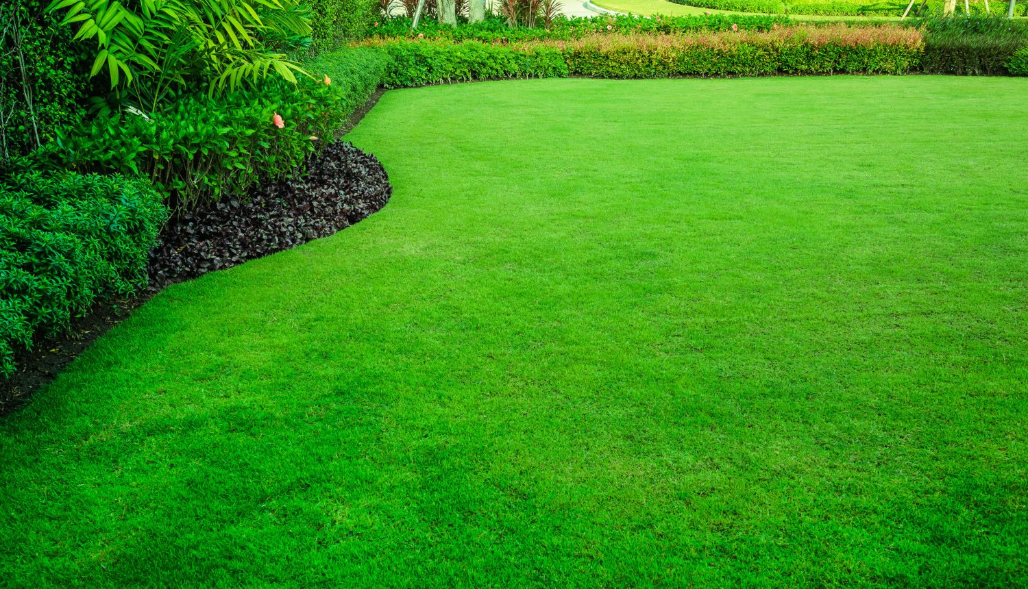 Green Grass Lawn Treatments